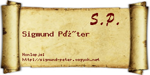 Sigmund Péter névjegykártya